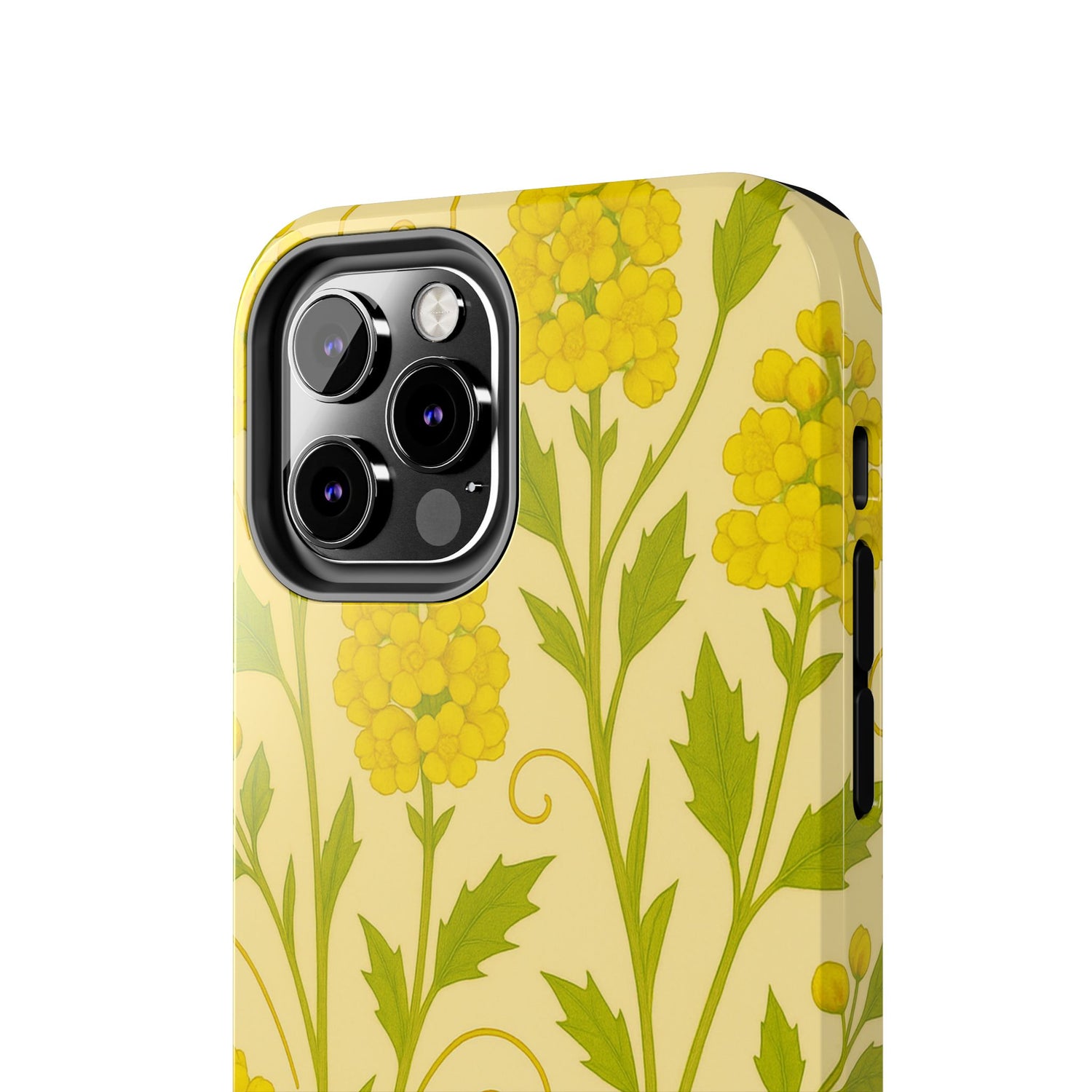 Oregon Grape Botanical