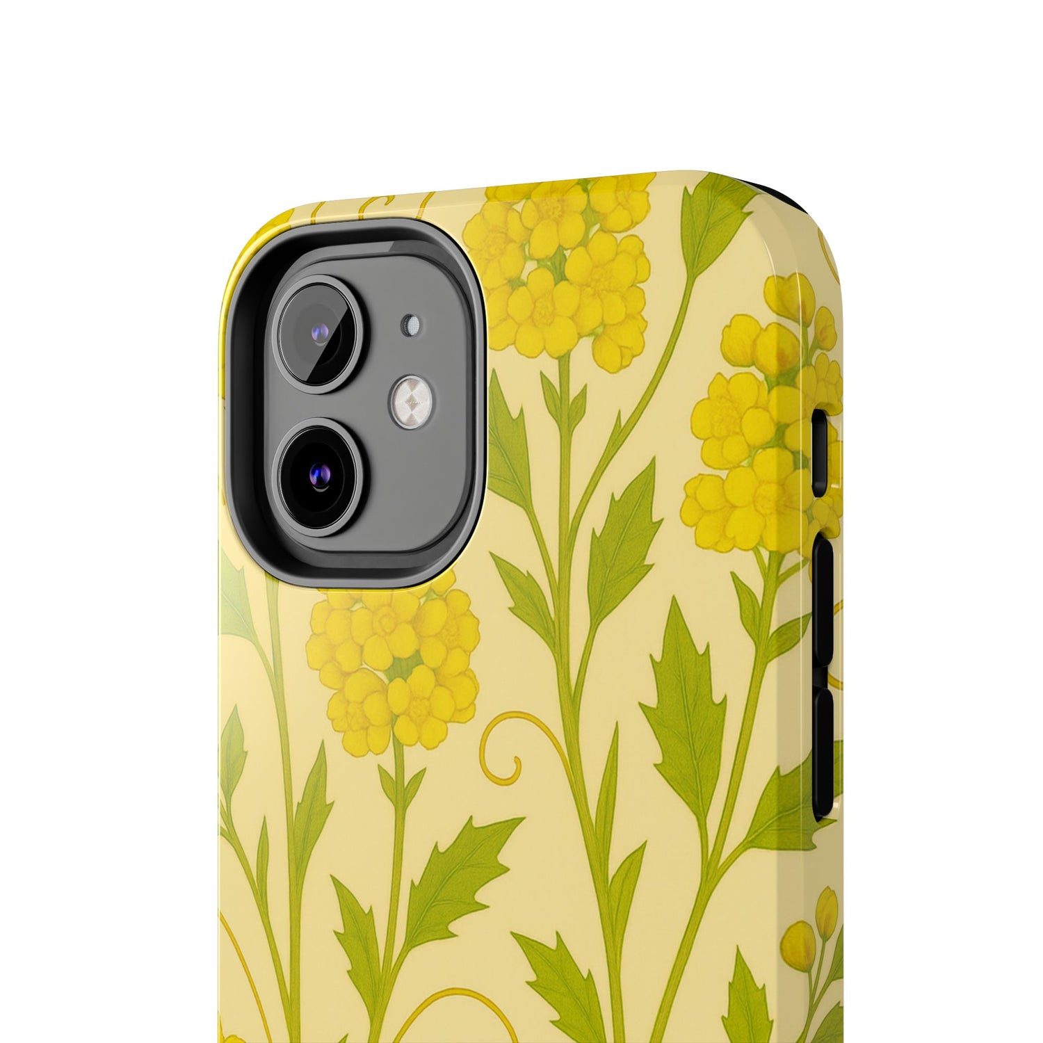 Oregon Grape Botanical