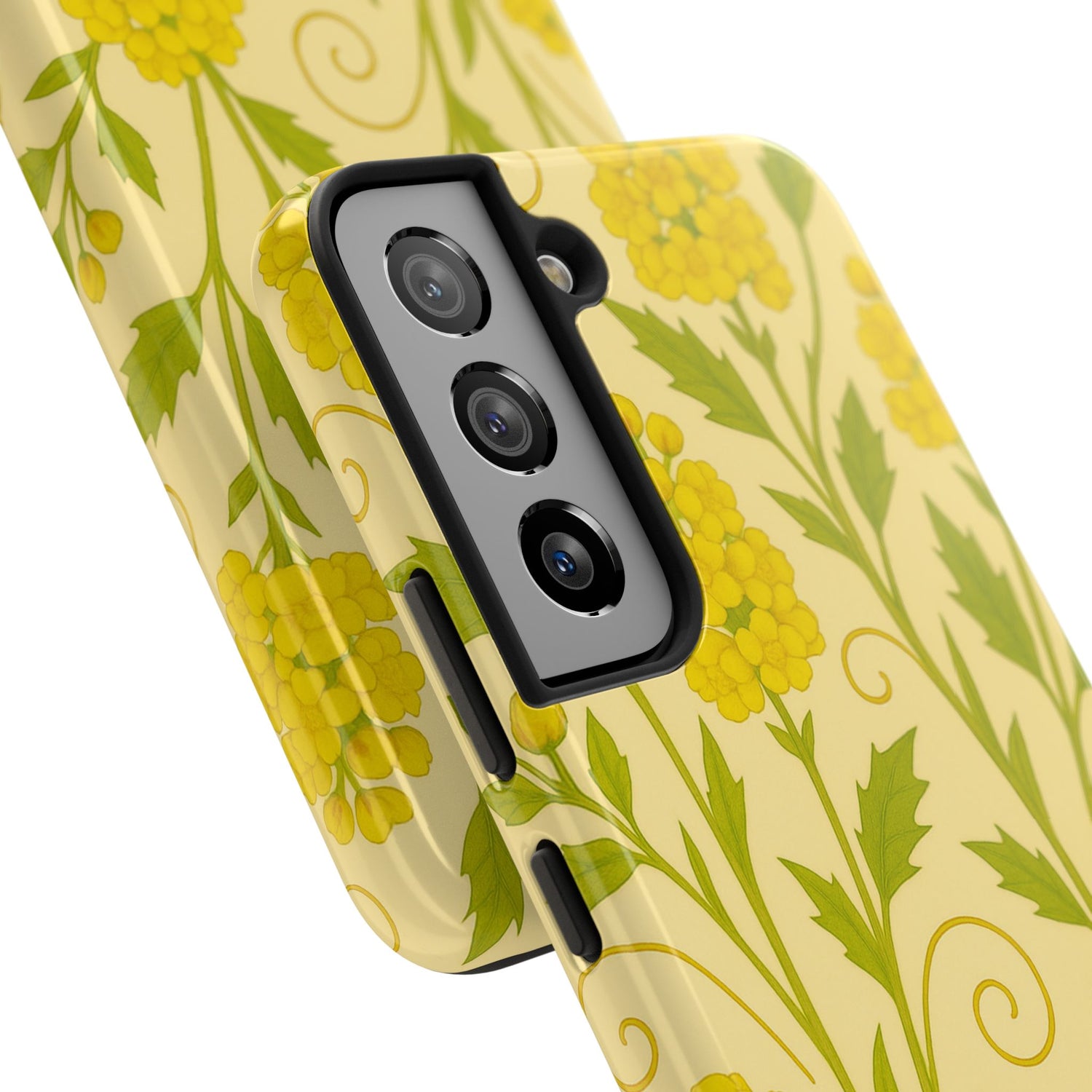 Oregon Grape Botanical