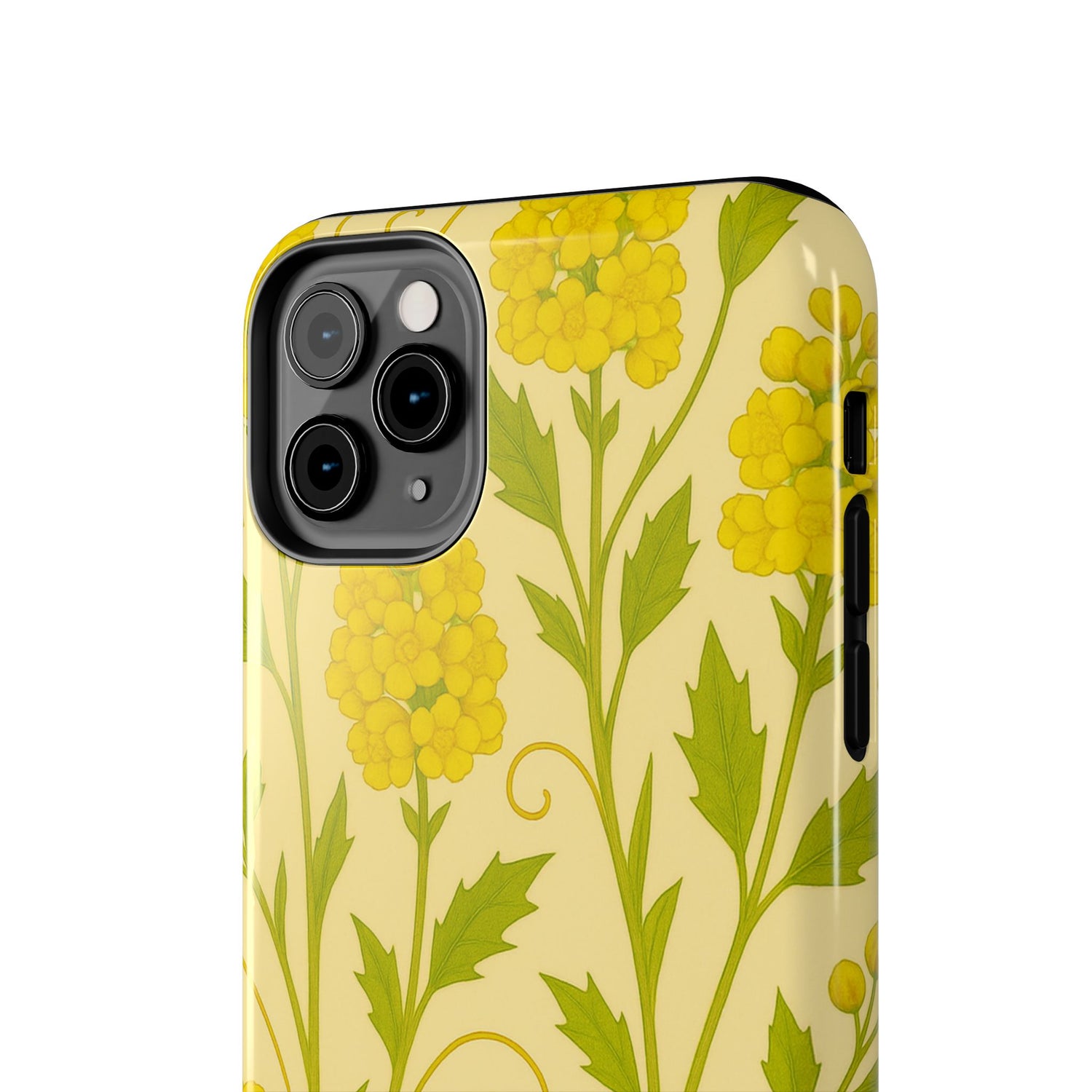 Oregon Grape Botanical