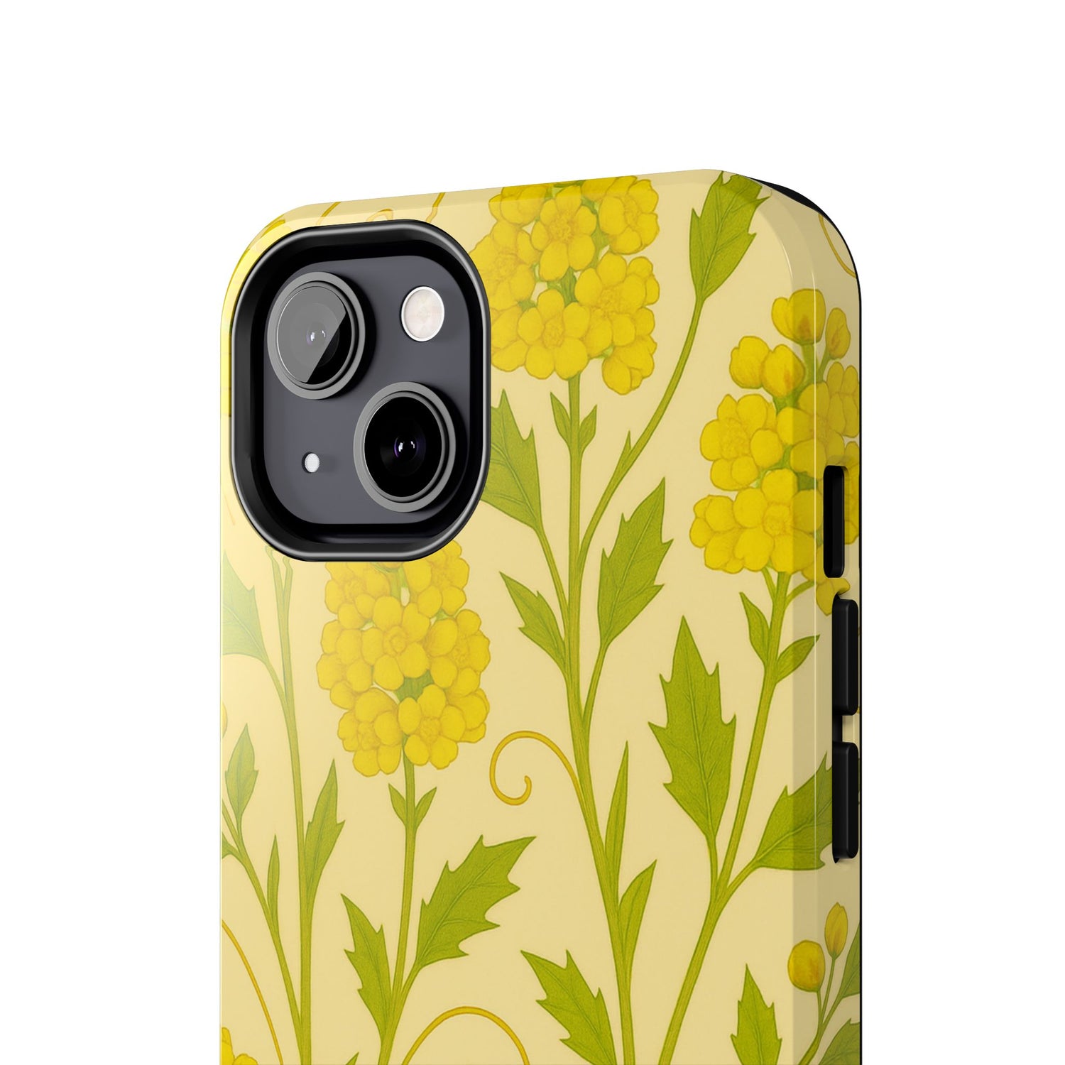 Oregon Grape Botanical