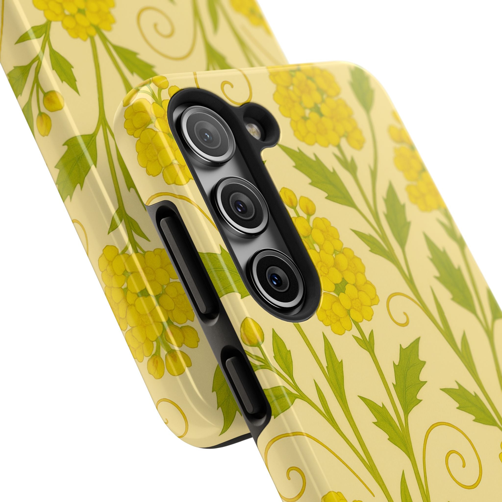 Oregon Grape Botanical