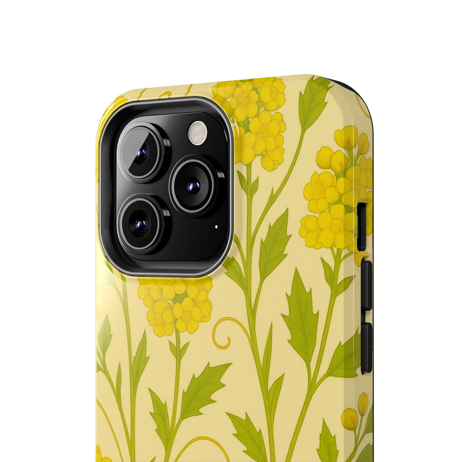 Oregon Grape Botanical