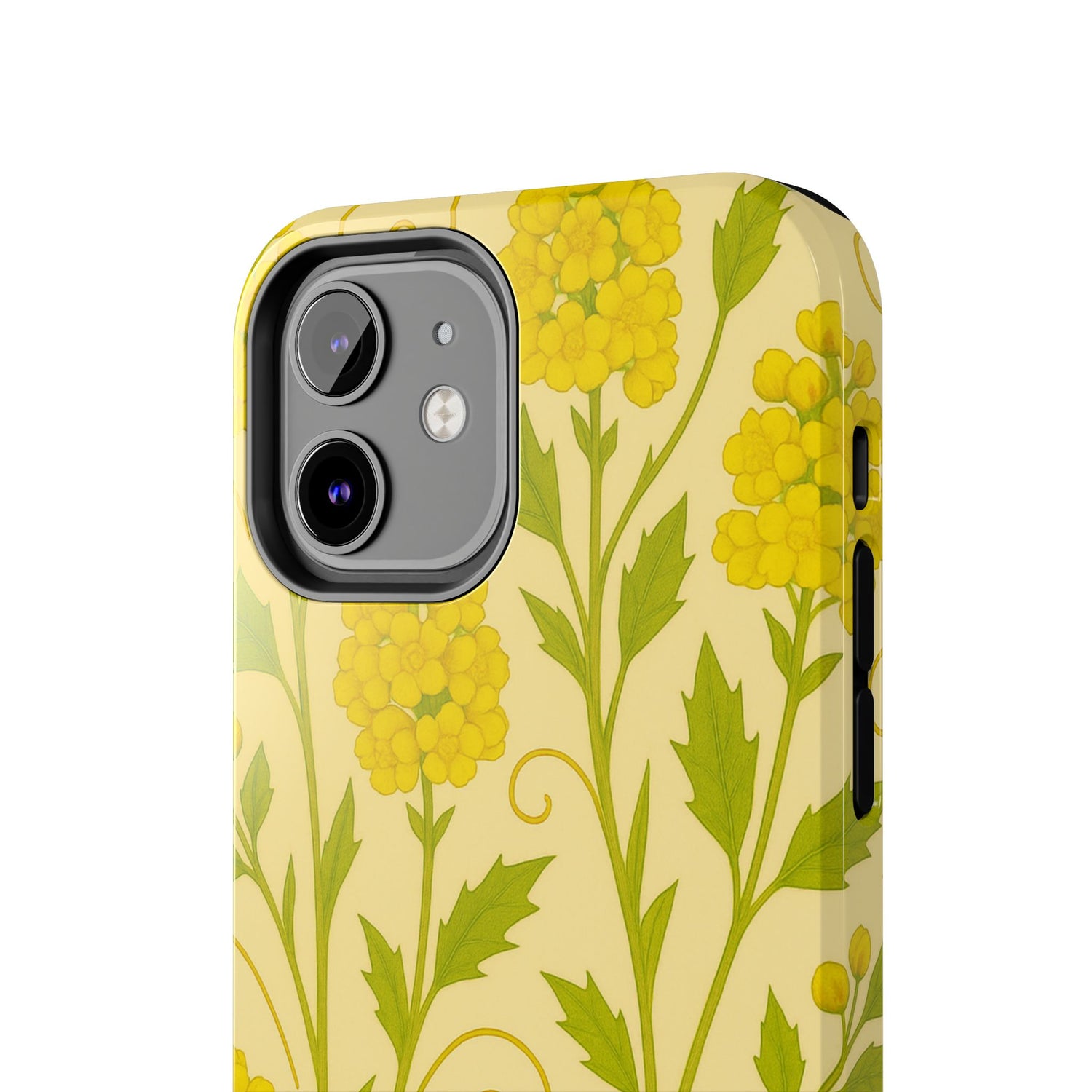 Oregon Grape Botanical