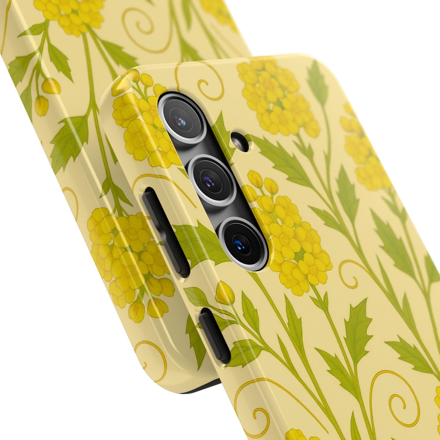 Oregon Grape Botanical