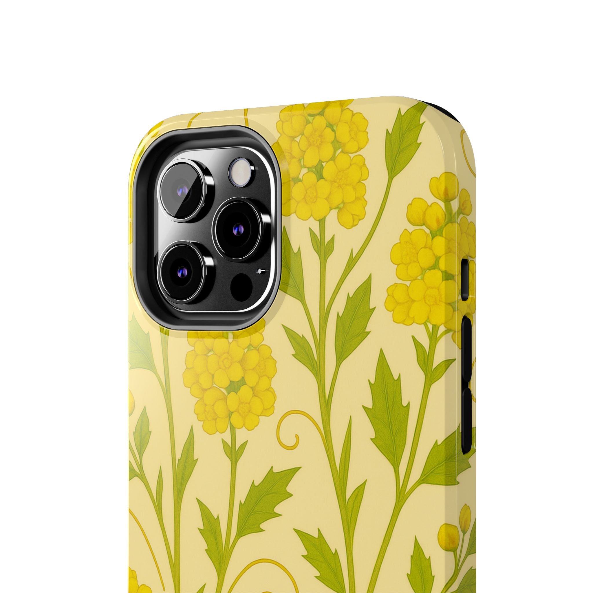 Oregon Grape Botanical