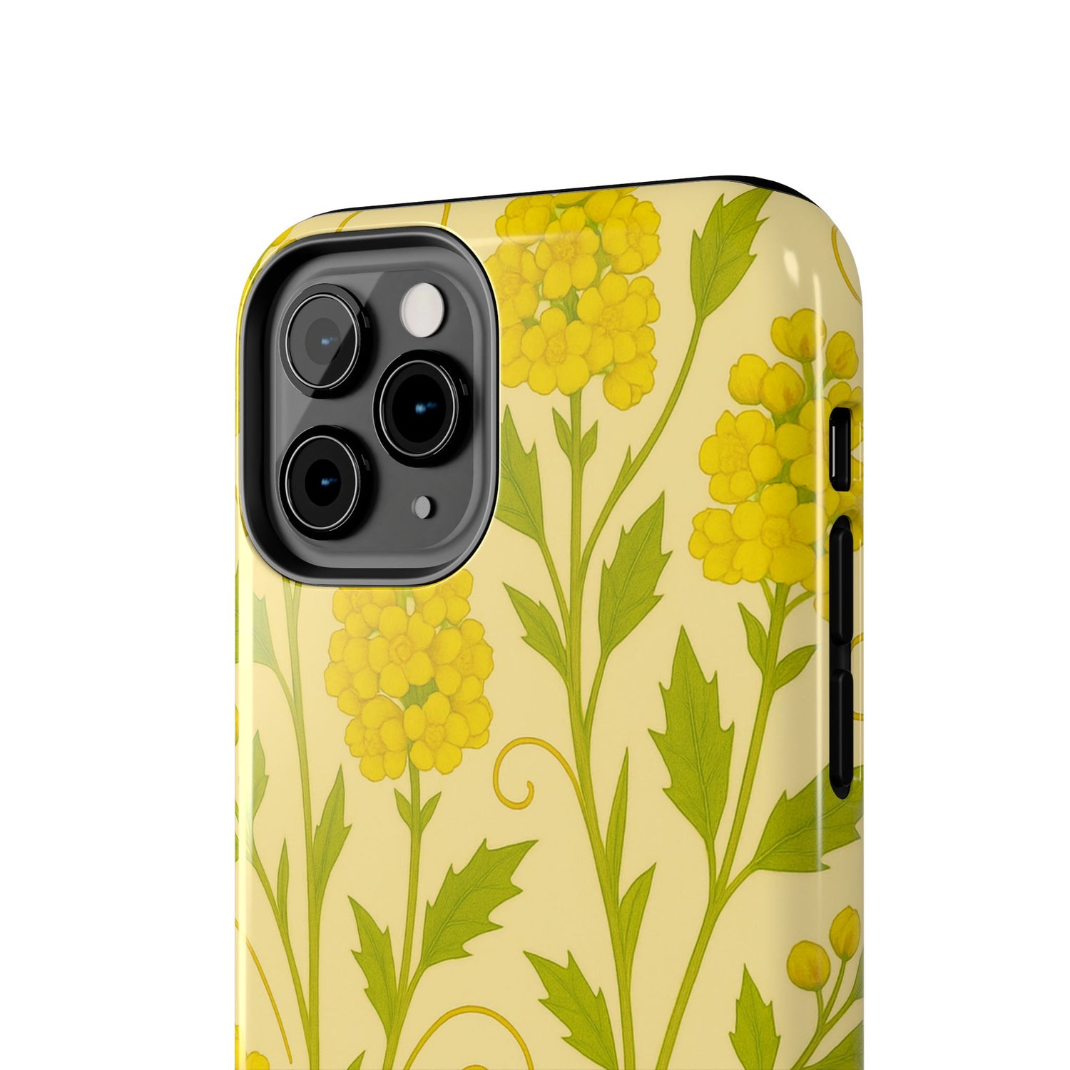 Oregon Grape Botanical